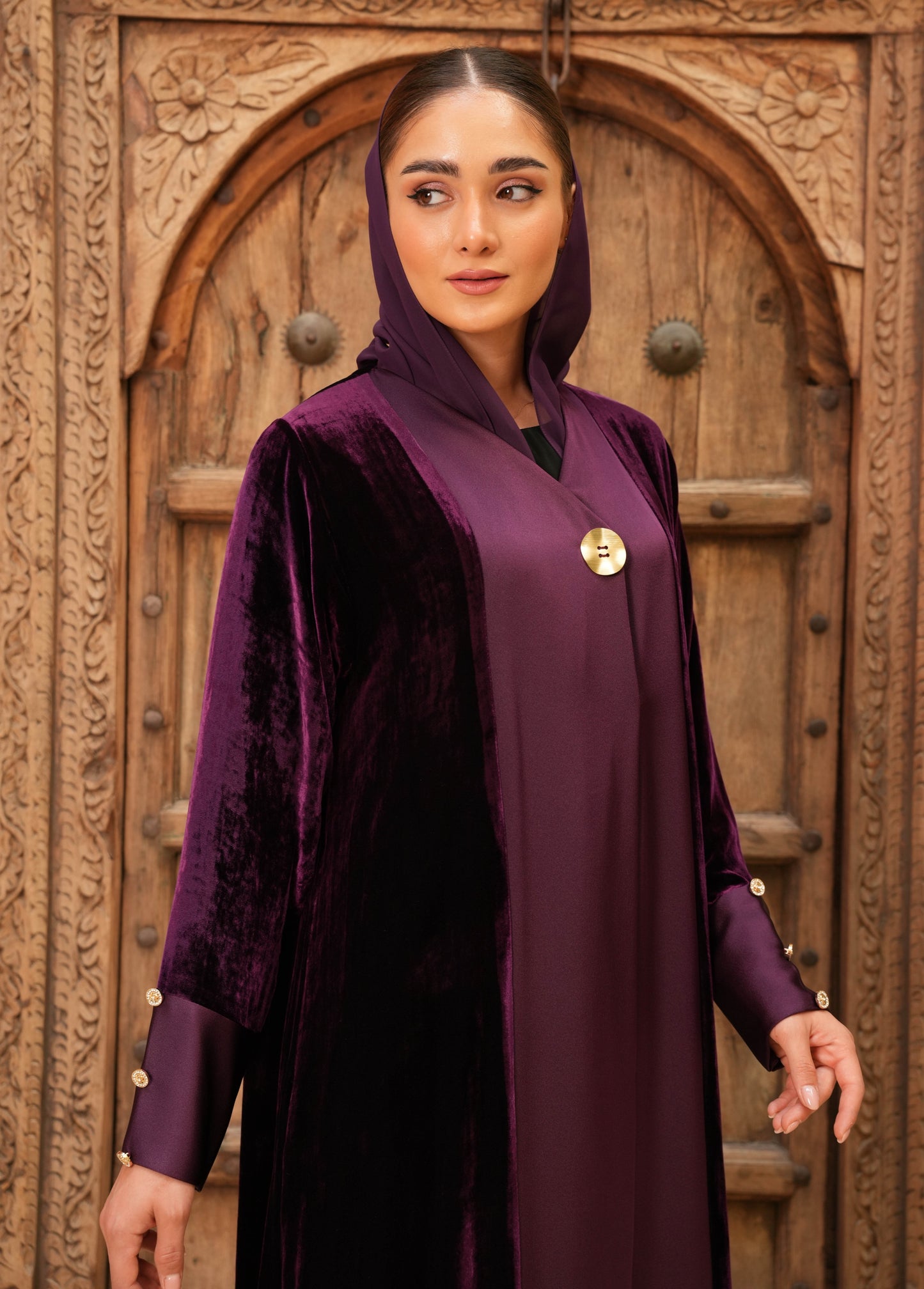 Elegant Velvet silk with Crepe Silk - Colored