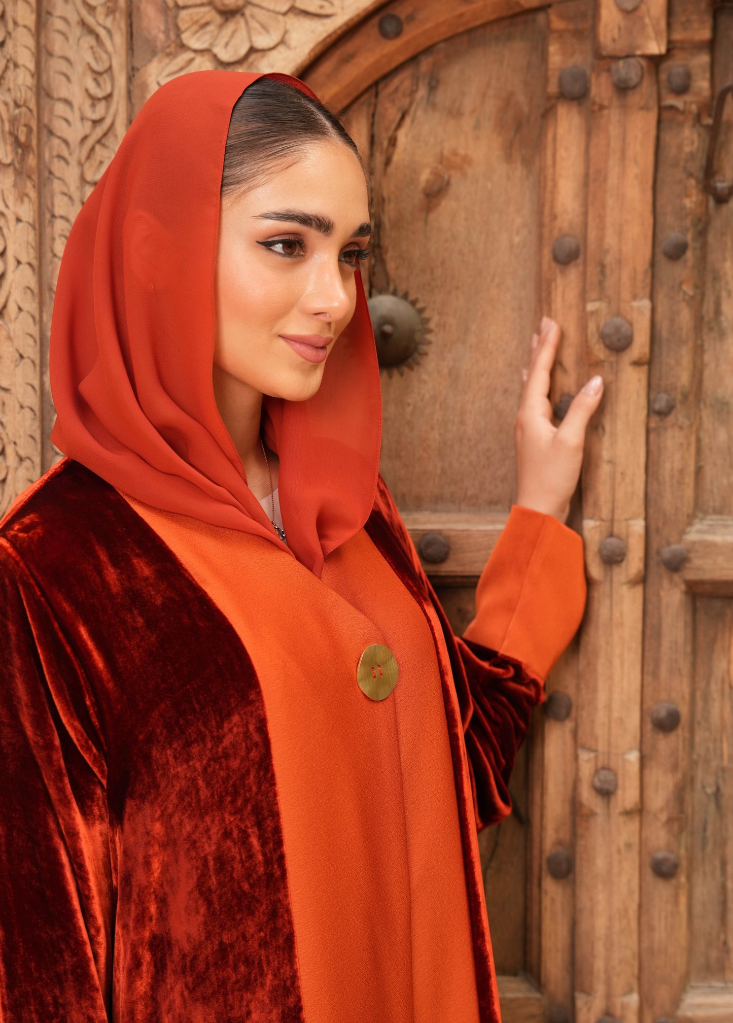 Elegant Velvet silk with Crepe Silk - Colored