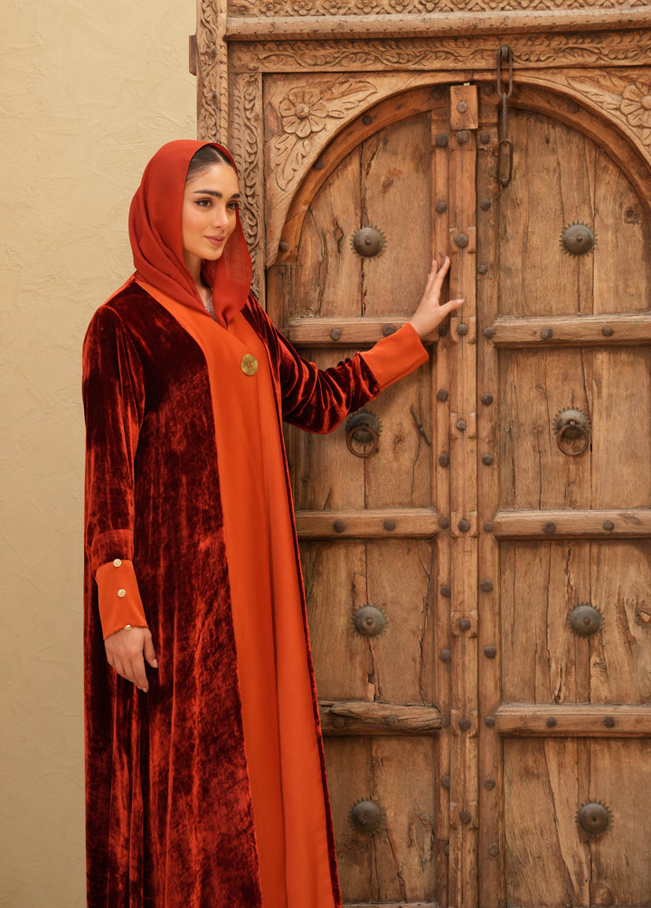 Elegant Velvet silk with Crepe Silk - Colored