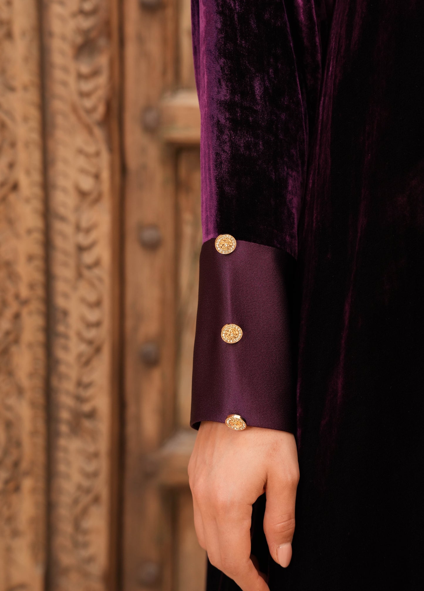 Elegant Velvet silk with Crepe Silk - Colored