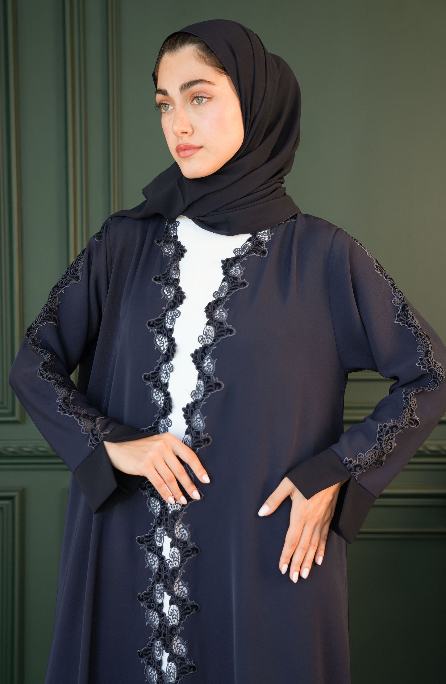 Internet fabric - embroidered lace Abaya